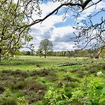 Maridu Family Wellness * Hattemerbroek