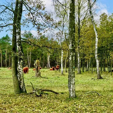 Maridu Family Wellness Chalet *