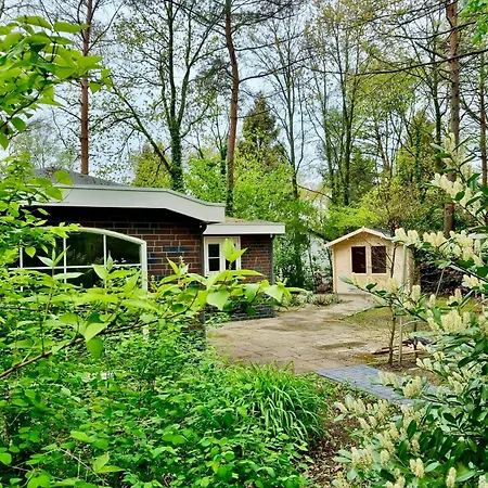 Maridu Family Wellness Hattemerbroek