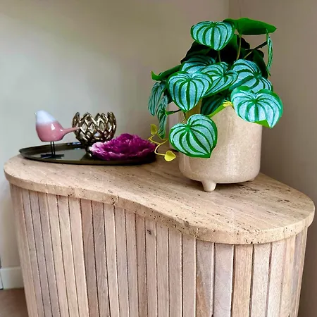 Maridu Family Wellness Chalet *