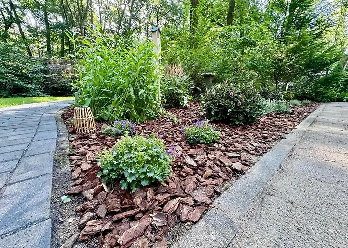 Maridu Family Wellness