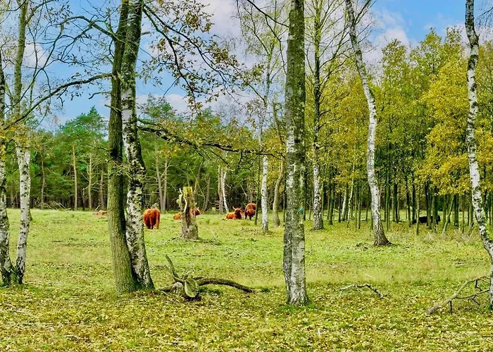 Chalet Maridu Family Wellness