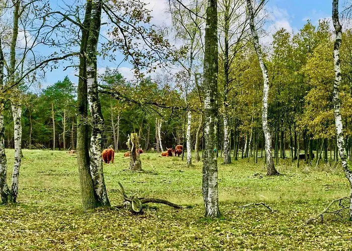 Maridu Family Wellness Chalet *