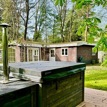 Domek alpejski Maridu Family Wellness Hattemerbroek