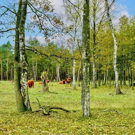 Chalet Maridu Family Wellness