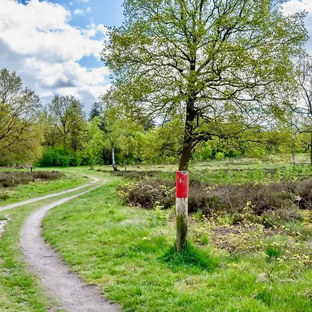 Domek alpejski Maridu Family Wellness Hattemerbroek