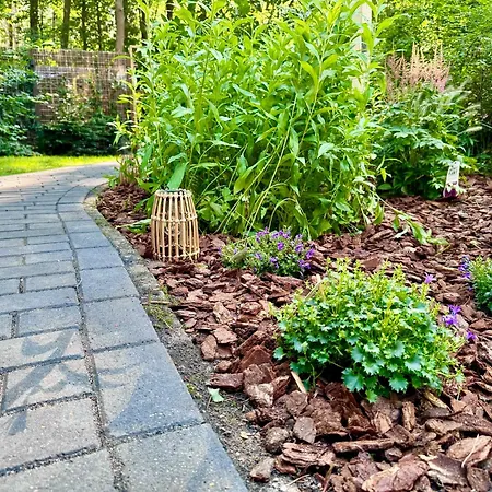 Chalet Maridu Family Wellness *