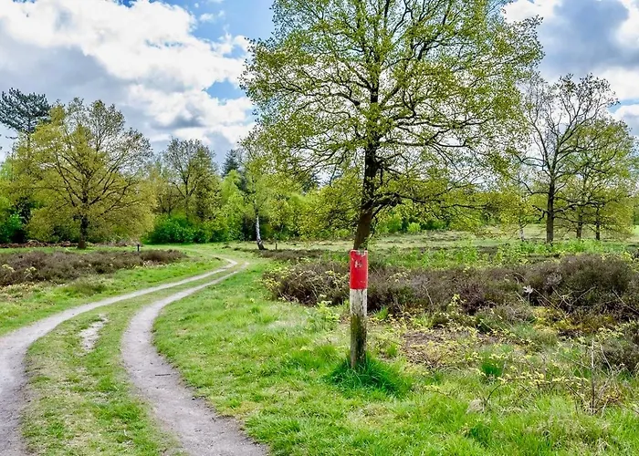 Alpehytte Maridu Family Wellness Hattemerbroek