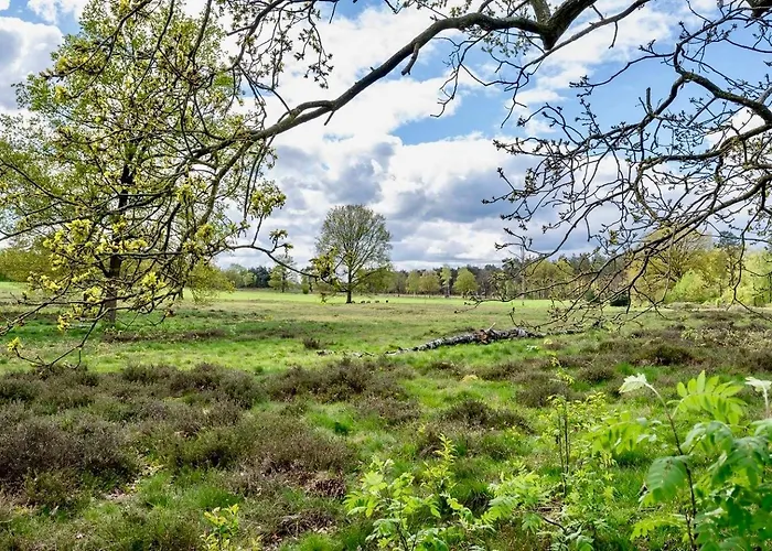 Maridu Family Wellness * Hattemerbroek